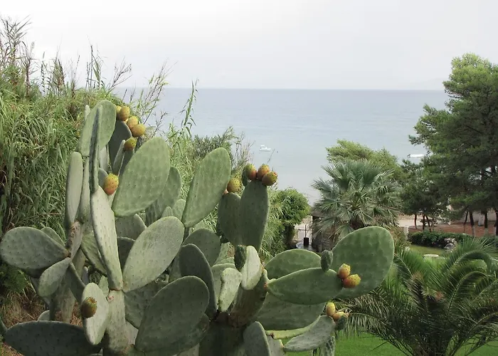 Panas 3* Spartia (Kefalonia)